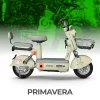 PRIMAVERA_1d81239a-8ce9-4572-b60b-5e18e9ce6408 Primavera