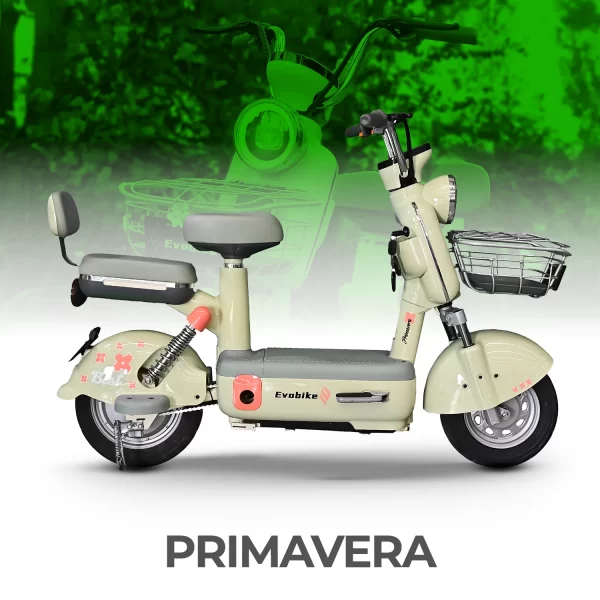 PRIMAVERA_1d81239a-8ce9-4572-b60b-5e18e9ce6408 Primavera