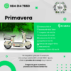 Post-04-SQR-Primavera Primavera