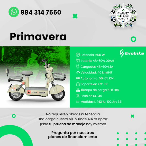 Post-04-SQR-Primavera Primavera