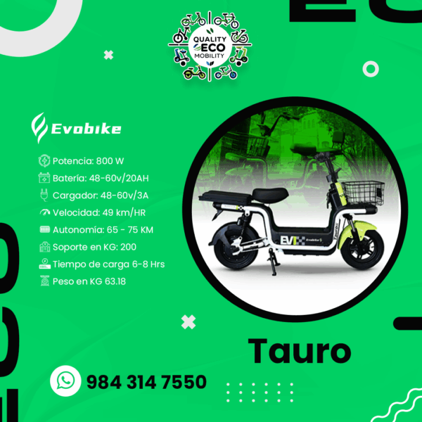 Post-05-SQR-Tauro Tauro