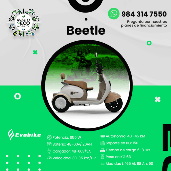 Triciclo Eléctrico BEETLE