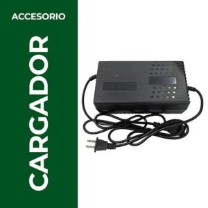 Cargador 48 y 60 volts