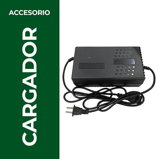 Cargador 48 y 60 volts
